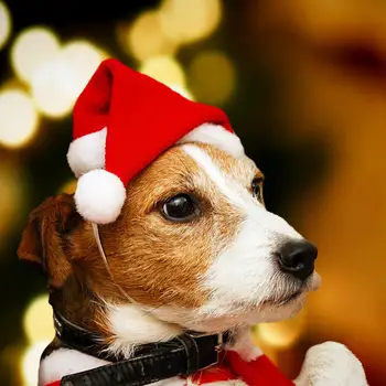 Santa Hat Kalėdų Pet Skrybėlę | Mažų Šunų Kačių Kalėdų Skrybėlę | Minkštas Smulkių Gyvūnų Kalėdų Senelio Skrybėlė K